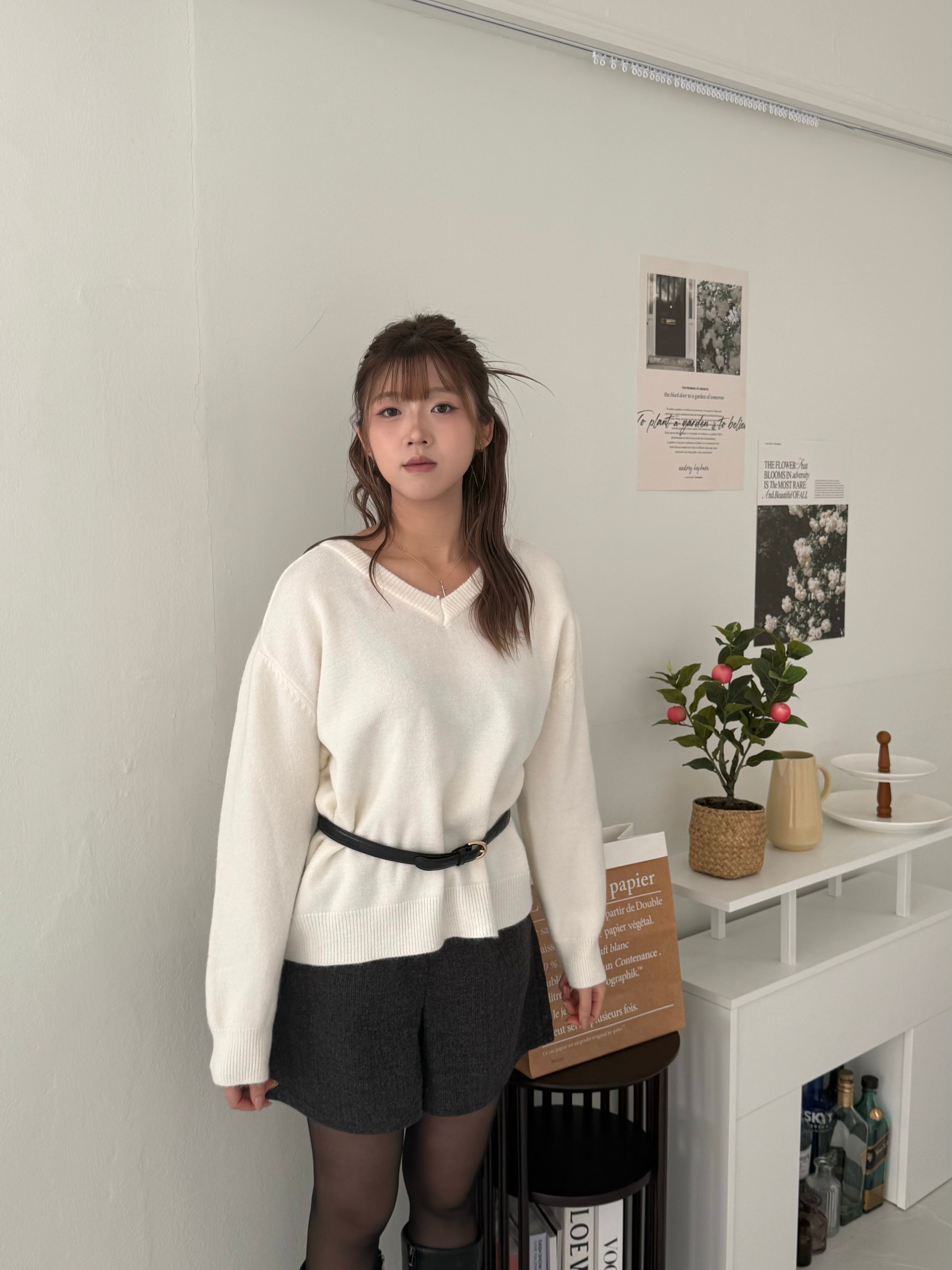 V 領針織上衣 Soft-Touch Essential V-Neck Knit